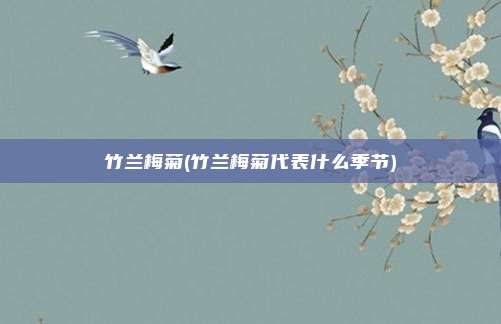 竹兰梅菊(竹兰梅菊代表什么季节)