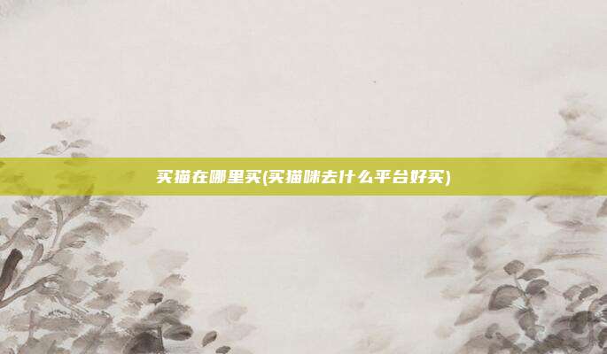 买猫在哪里买(买猫咪去什么平台好买)