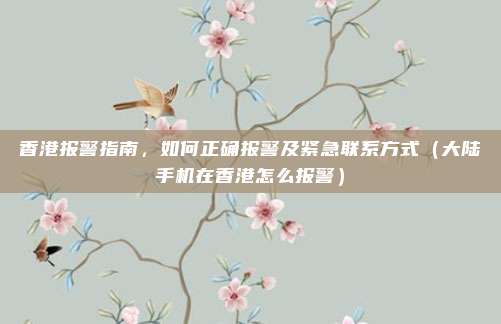 香港报警指南,如何正确报警及紧急联系方式(大陆手机在香港怎么报警)