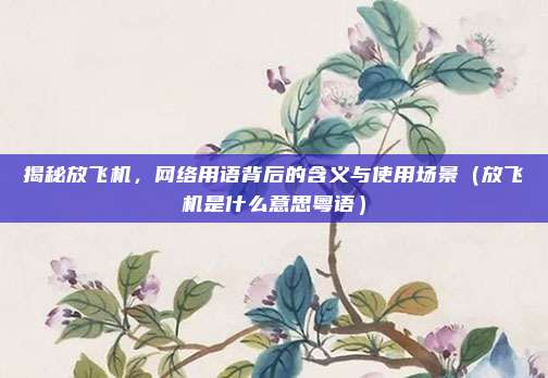 揭秘放飞机,网络用语背后的含义与使用场景(放飞机是什么意思粤语)