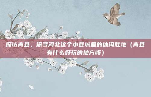 探访青县,探寻河北这个小县城里的休闲胜地(青县有什么好玩的地方吗)