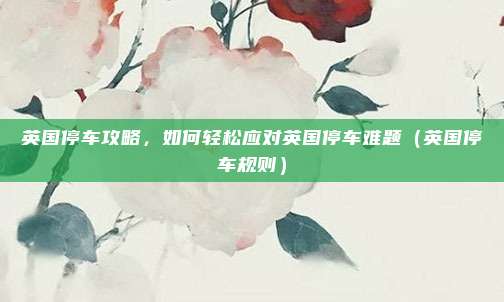 英国停车攻略,如何轻松应对英国停车难题(英国停车规则)