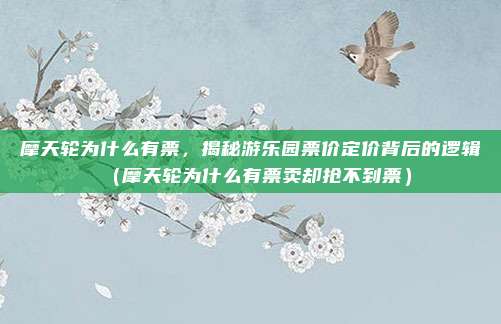 摩天轮为什么有票，揭秘游乐园票价定价背后的逻辑（摩天轮为什么有票卖却抢不到票）
