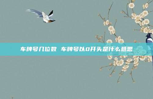 车牌号几位数 车牌号以0开头是什么意思