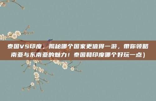 泰国VS印度,揭秘哪个国家更值得一游,带你领略南亚与东南亚的魅力!泰国和印度哪个好玩一点)