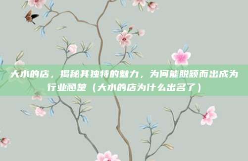 大水的店,揭秘其独特的魅力,为何能脱颖而出成为行业翘楚(大水的店为什么出名了)