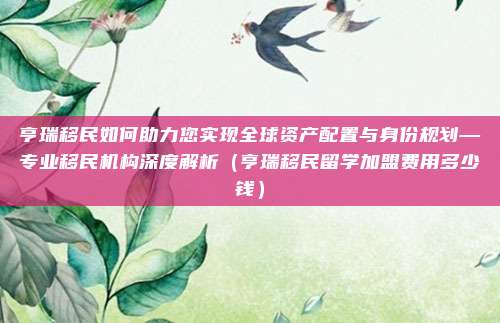 亨瑞移民如何助力您实现全球资产配置与身份规划—专业移民机构深度解析(亨瑞移民留学加盟费用多少钱)