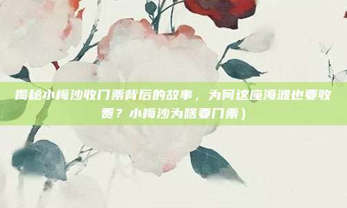 揭秘小梅沙收门票背后的故事,为何这座海滩也要收费?小梅沙为啥要门票)