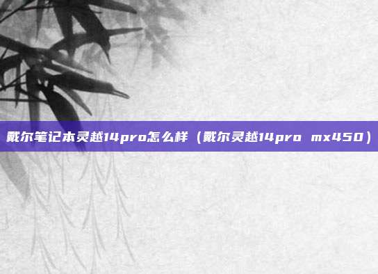戴尔笔记本灵越14pro怎么样（戴尔灵越14pro mx450）
