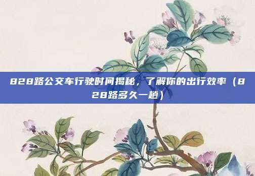 828路公交车行驶时间揭秘,了解你的出行效率(828路多久一趟)