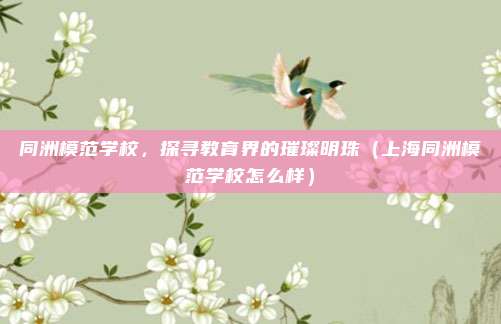 同洲模范学校,探寻教育界的璀璨明珠(上海同洲模范学校怎么样)