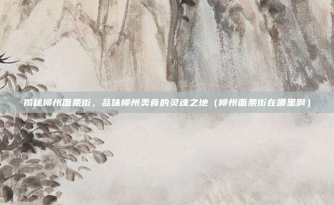揭秘柳州面条街,品味柳州美食的灵魂之地(柳州面条街在哪里啊)
