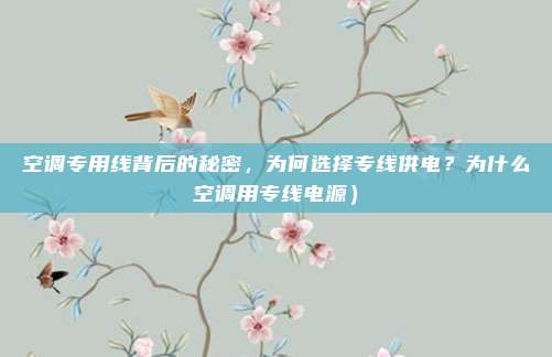 空调专用线背后的秘密,为何选择专线供电?为什么空调用专线电源)