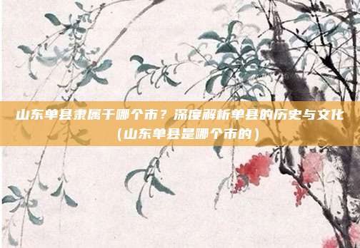 山东单县隶属于哪个市?深度解析单县的历史与文化(山东单县是哪个市的)