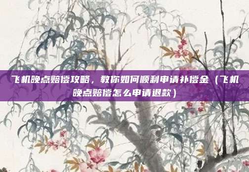 飞机晚点赔偿攻略,教你如何顺利申请补偿金(飞机晚点赔偿怎么申请退款)
