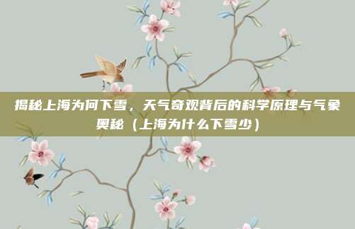 揭秘上海为何下雪,天气奇观背后的科学原理与气象奥秘(上海为什么下雪少)