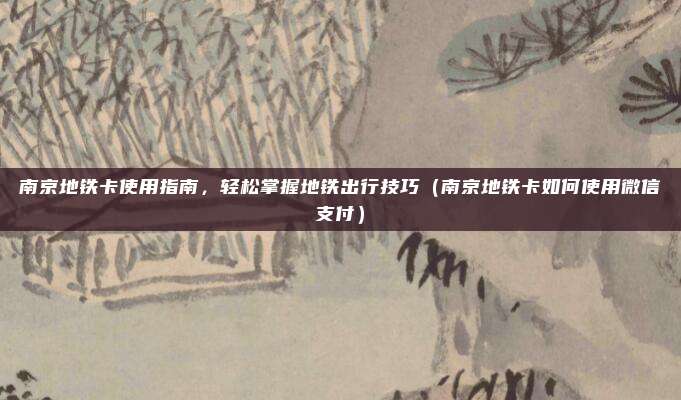 南京地铁卡使用指南,轻松掌握地铁出行技巧(南京地铁卡如何使用微信支付)