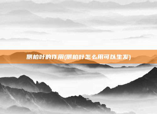 侧柏叶的作用(侧柏叶怎么用可以生发)