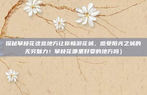 探秘攀枝花这些地方让你畅游花城,感受阳光之城的无穷魅力!攀枝花哪里好耍的地方吗)