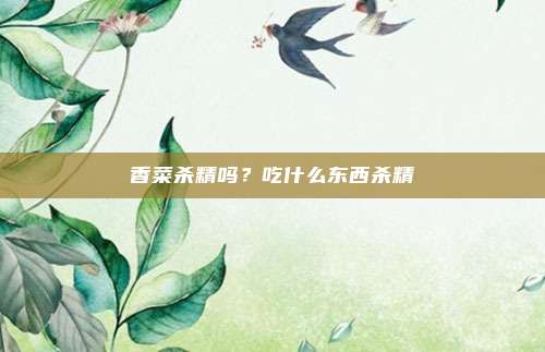 香菜杀精吗？吃什么东西杀精