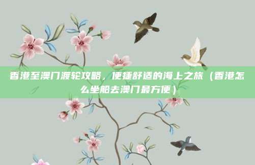 香港至澳门渡轮攻略,便捷舒适的海上之旅(香港怎么坐船去澳门最方便)