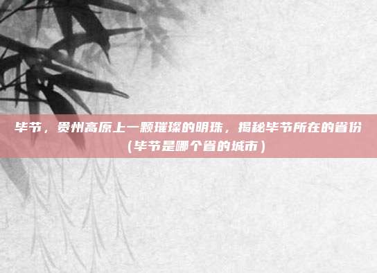 毕节,贵州高原上一颗璀璨的明珠,揭秘毕节所在的省份(毕节是哪个省的城市)