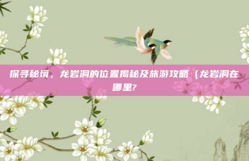 探寻秘境,龙岩洞的位置揭秘及旅游攻略(龙岩洞在哪里?