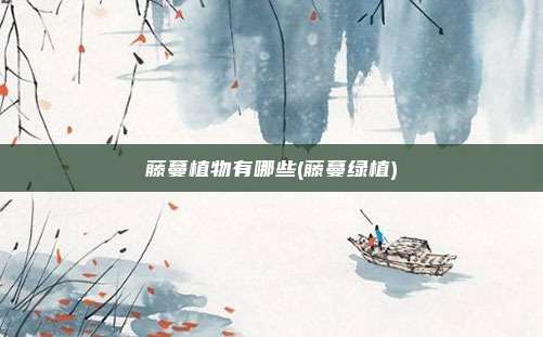 藤蔓植物有哪些(藤蔓绿植)