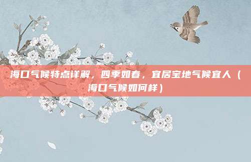 海口气候特点详解,四季如春,宜居宝地气候宜人(海口气候如何样)