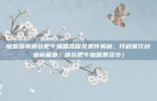 加盟指南峰谷肥牛加盟流程及条件揭秘,开启餐饮创业新篇章!峰谷肥牛加盟费多少)