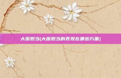 大国担当(大国担当的表现在哪些方面)