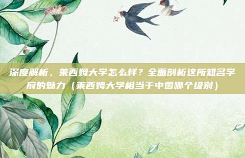 深度解析,莱西姆大学怎么样?全面剖析这所知名学府的魅力(莱西姆大学相当于中国哪个级别)