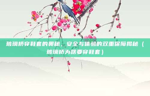 玻璃桥穿鞋套的奥秘,安全与体验的双重保障揭秘(玻璃桥为啥要穿鞋套)