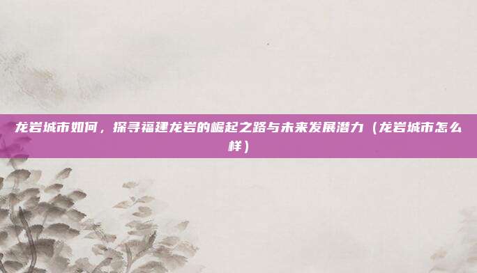 龙岩城市如何,探寻福建龙岩的崛起之路与未来发展潜力(龙岩城市怎么样)