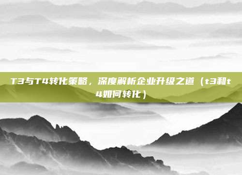 T3与T4转化策略,深度解析企业升级之道(t3和t4如何转化)