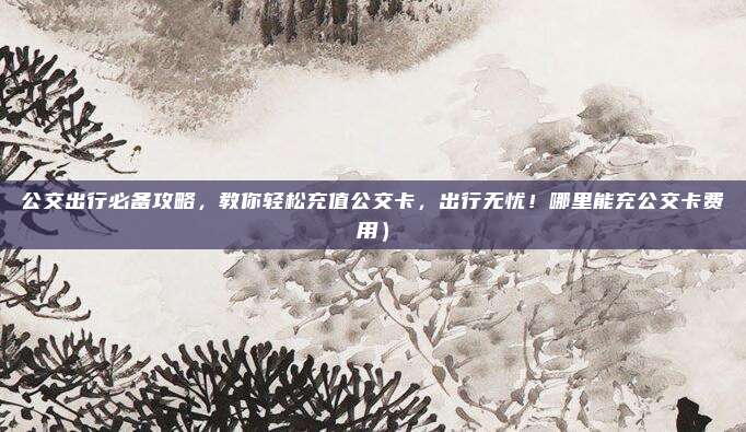 公交出行必备攻略,教你轻松充值公交卡,出行无忧!哪里能充公交卡费用)