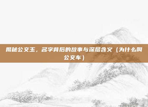 揭秘公交玉,名字背后的故事与深层含义(为什么叫公交车)