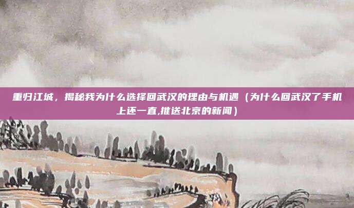 重归江城,揭秘我为什么选择回武汉的理由与机遇(为什么回武汉了手机上还一直,推送北京的新闻)