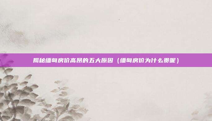 揭秘缅甸房价高昂的五大原因(缅甸房价为什么贵呢)