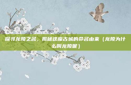 探寻龙陵之名,揭秘这座古城的命名由来(龙陵为什么叫龙陵呢)