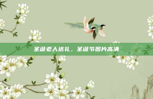 圣诞老人送礼,圣诞节图片高清