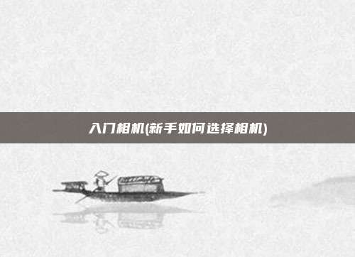 入门相机(新手如何选择相机)