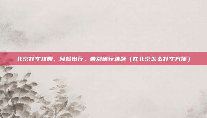 北京打车攻略,轻松出行,告别出行难题(在北京怎么打车方便)