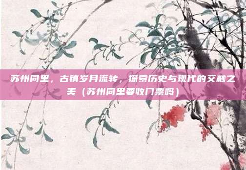 苏州同里,古镇岁月流转,探索历史与现代的交融之美(苏州同里要收门票吗)