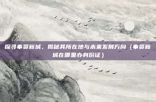 探寻奉贤新城,揭秘其所在地与未来发展方向(奉贤新城在哪里办身份证)