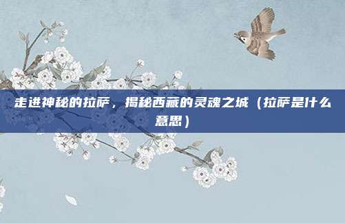 走进神秘的拉萨,揭秘西藏的灵魂之城(拉萨是什么意思)