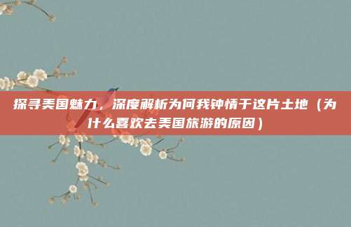 探寻美国魅力,深度解析为何我钟情于这片土地(为什么喜欢去美国旅游的原因)