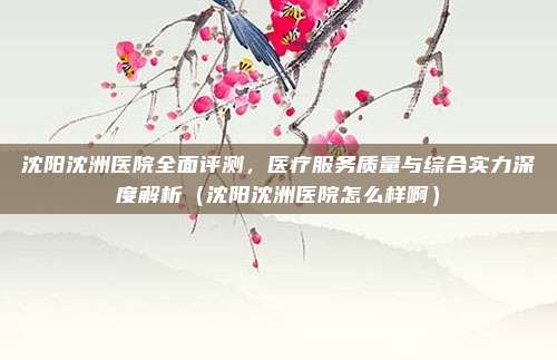 沈阳沈洲医院全面评测,医疗服务质量与综合实力深度解析(沈阳沈洲医院怎么样啊)