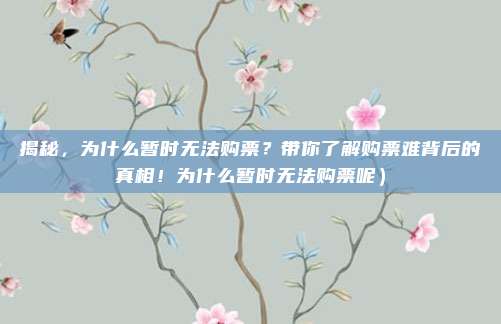 揭秘,为什么暂时无法购票?带你了解购票难背后的真相!为什么暂时无法购票呢)