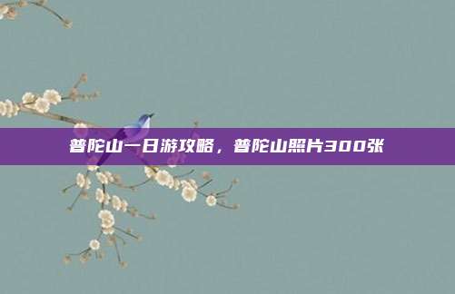 普陀山一日游攻略，普陀山照片300张